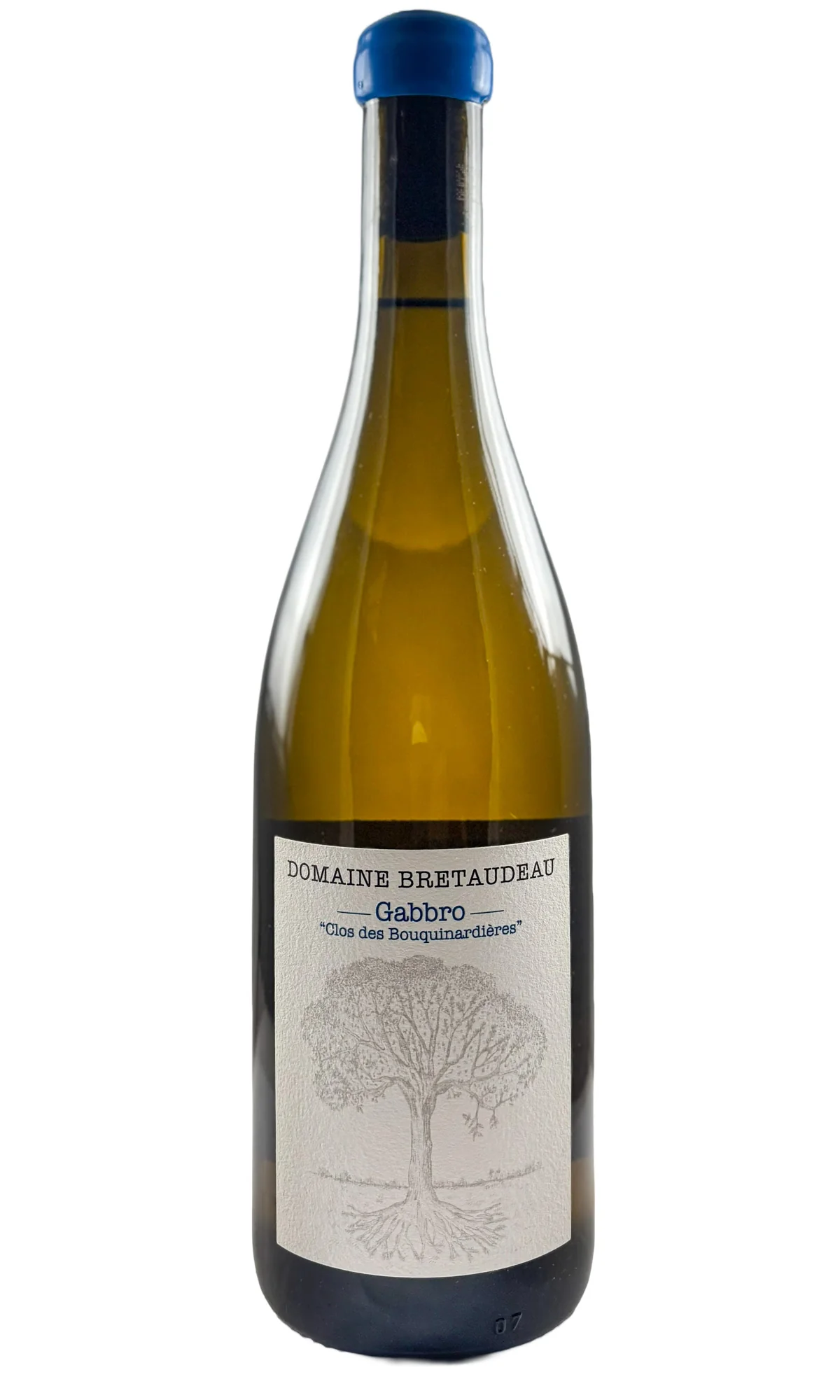 Bellevue (Jerome Bretaudeau), Muscadet Sevre-et-Maine Gabbro Clos Des Bouquinardieres, 2023