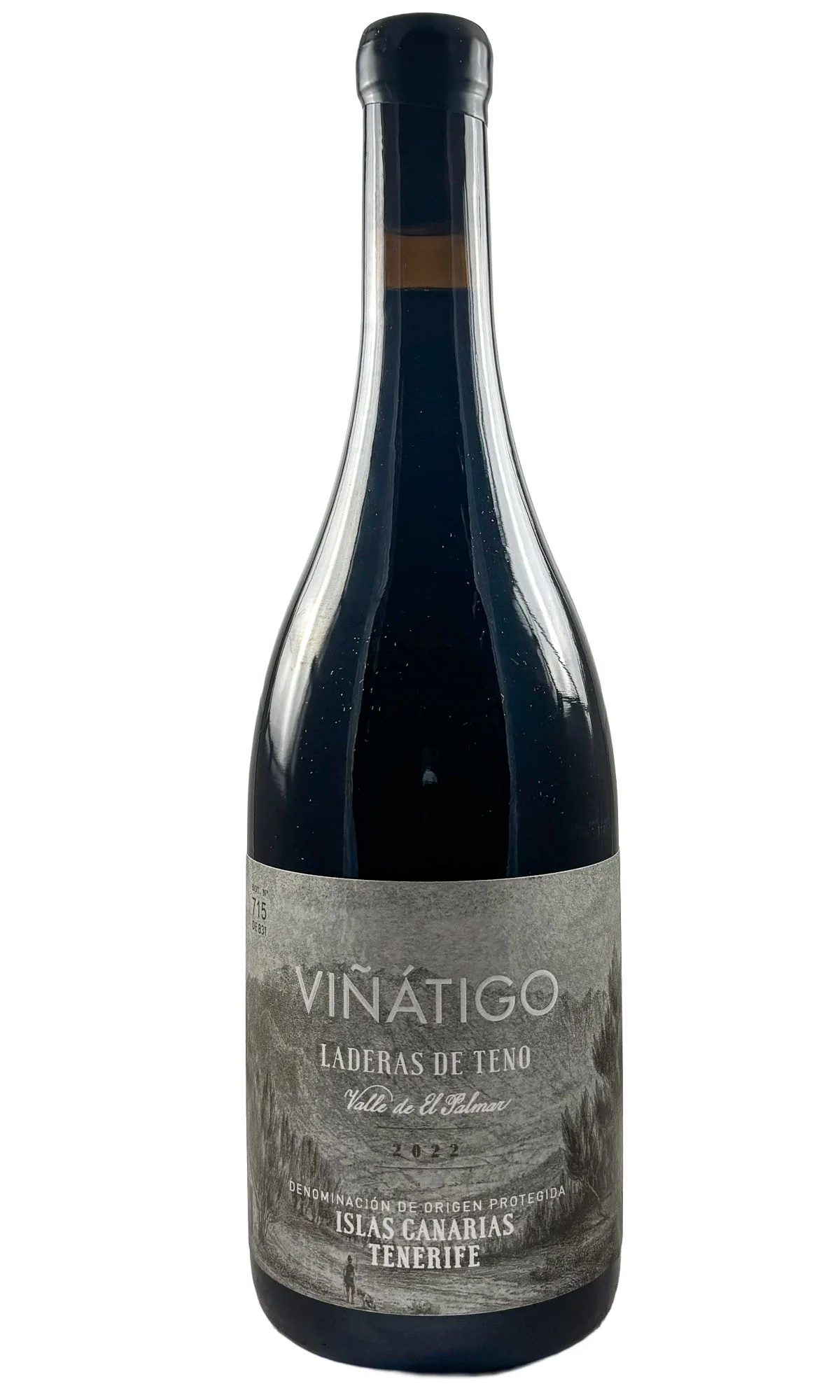 Bodegas Vinatigo, Tenerife Tinto Tintilla Laderas De Teno, 2022