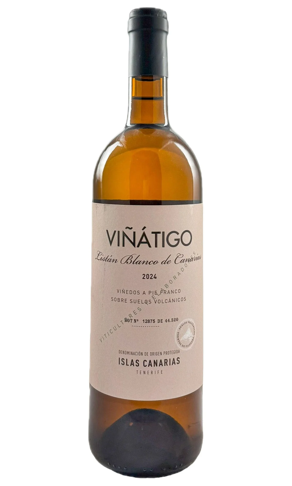 Bodegas Vinatigo, Vijariego Blanco, 2024