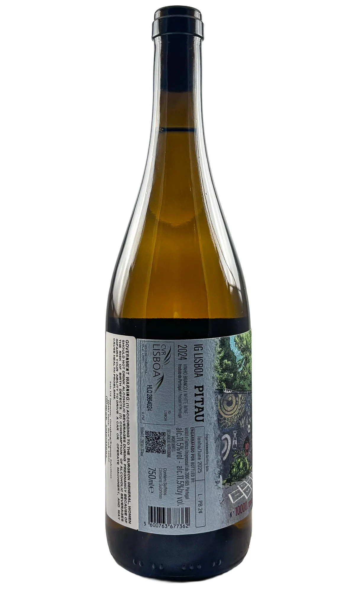 Hugo Mendes, Pitau Branco, 2024 - Image 2