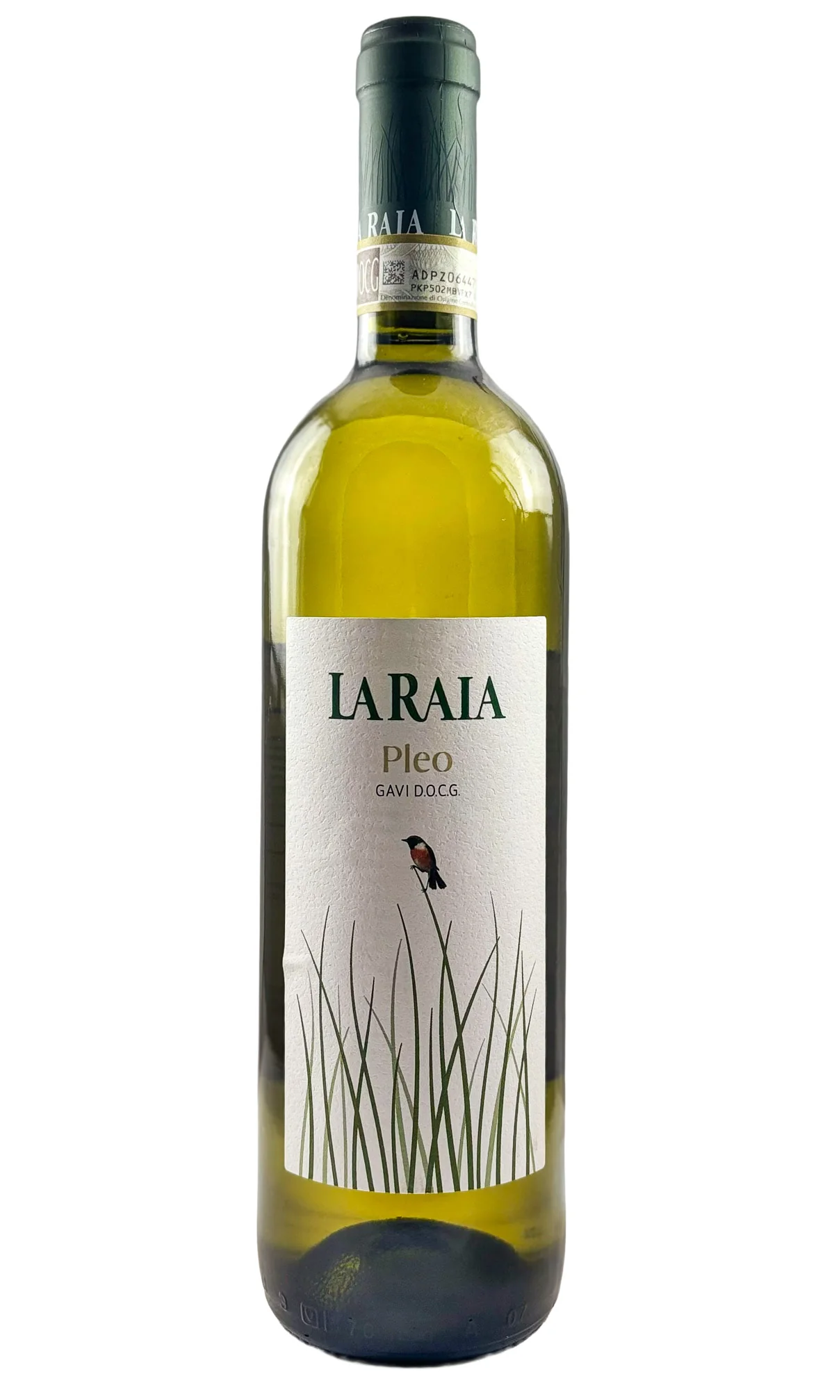 La Raia, Gavi Pleo, 2024