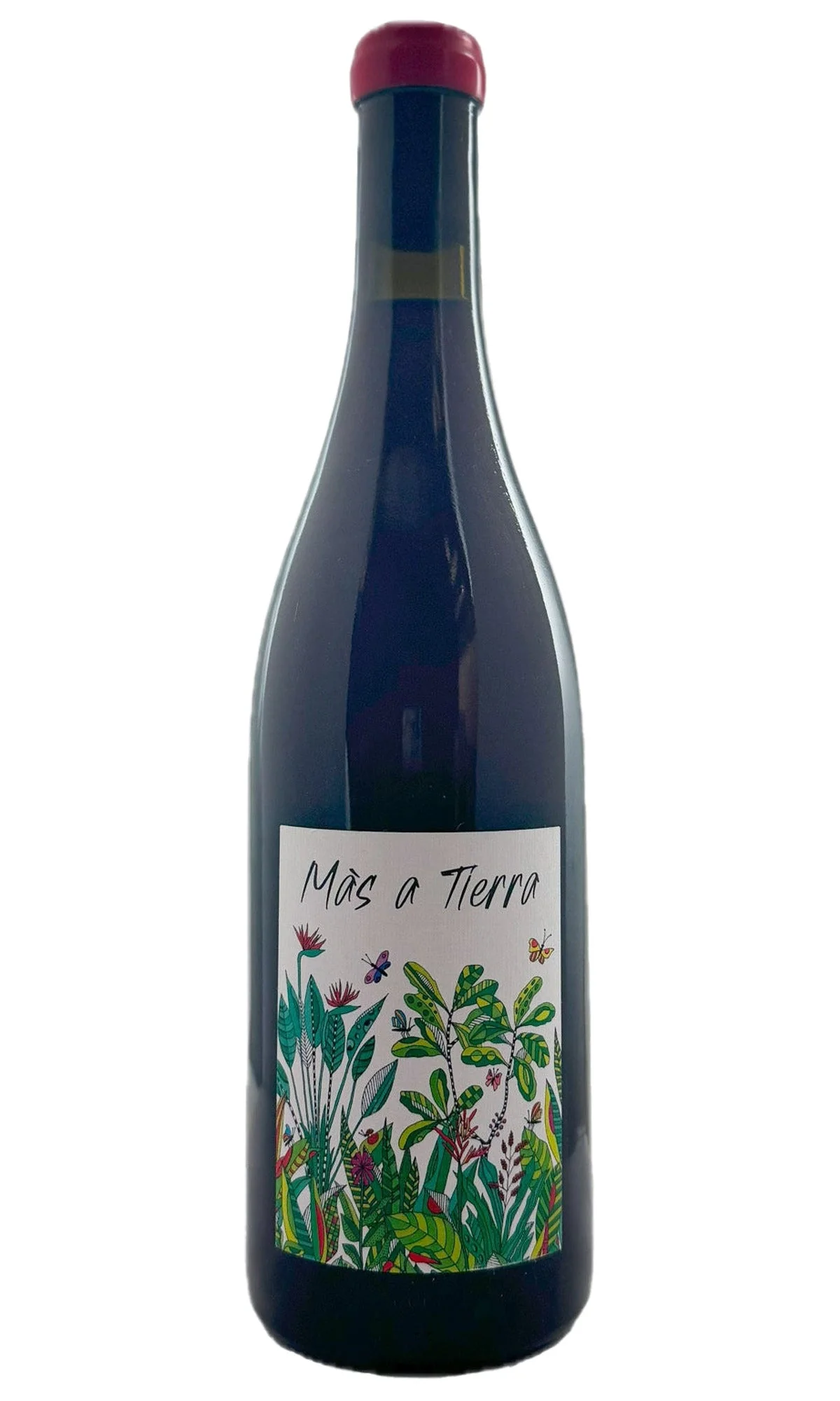 Petite Empreinte, Coteaux Bourguigons Mas A Tierra, 2023